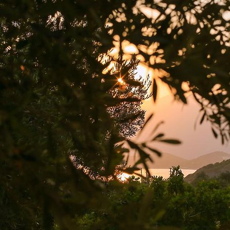 Kaktus Cakil Villa Kaş Kültér fotó