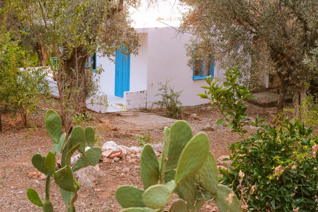 Kaktus Cakil Villa Kaş Kültér fotó