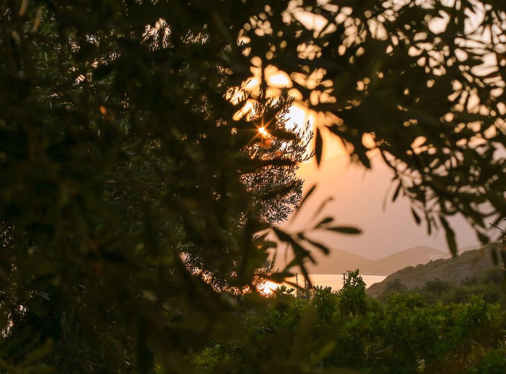 Kaktus Cakil Villa Kaş Kültér fotó